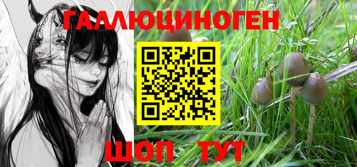 Галлюциногенные грибы Psilocybe  Псилоцибиновые грибы Magic Shrooms  Калуга  Вход с VPN 